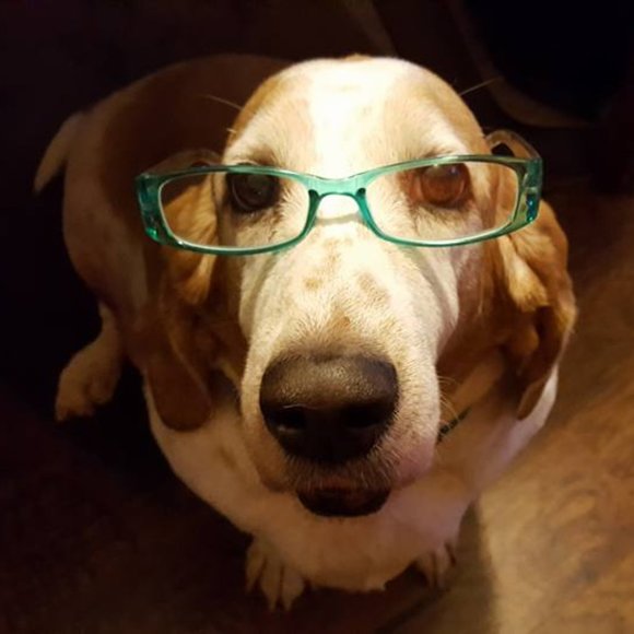 Meet your Posher Ambassador Lawana - Picture 10 of 15